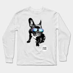 French bulldog Summer Long Sleeve T-Shirt